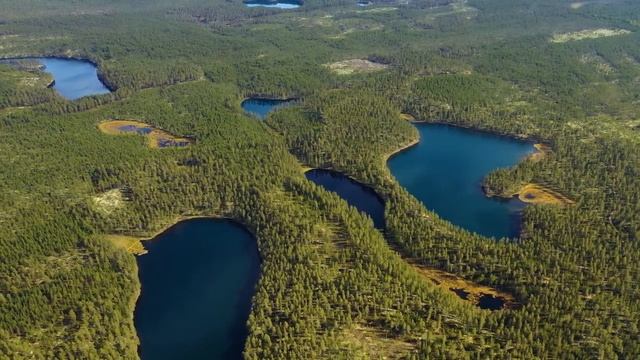 Музыка для релаксации с звуками природы для очищения души Расслабление разума и сна смотреть онлайн