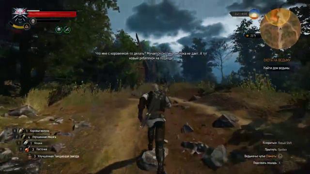 НИЛЬФГААРДСКИЙ СВЯЗНОЙ (The Witcher 3 Wild Hunt) смотреть онлайн