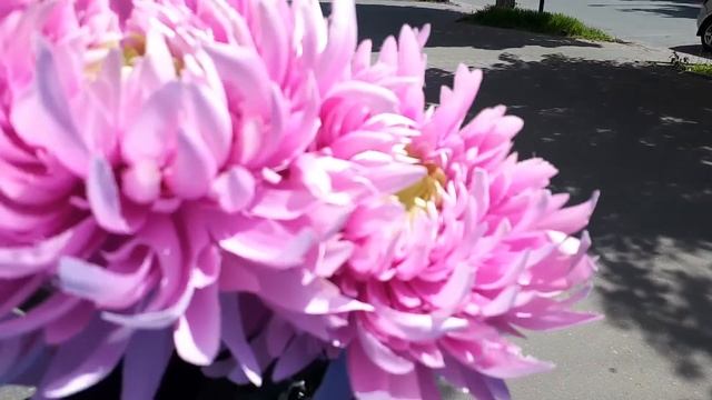 ПОЧЕМУ ТАКОЙ ДЕФИЦИТ???