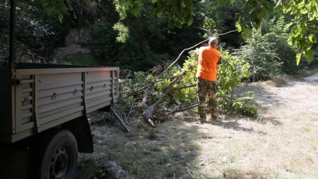 12.07.2023. Уборка валежника на Максимовой даче смотреть онлайн
