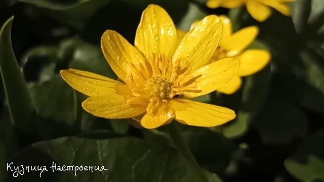 11 апреля Великий Вторник. Что нельзя делать 11 апреля. Народные традиции и приметы. смотреть онлайн