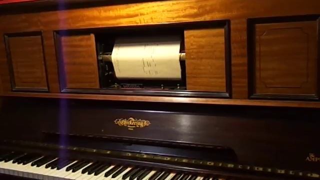 To a Wild Rose - Woodland Sketches - Mac Dowell Op 51 Nº 1 desde Viedma, Argentina, Horacio Asborno смотреть онлайн