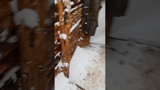 На всё руки молодцы