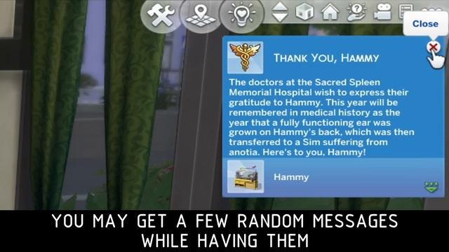 ♦ Hamsters (and Such) ♦ Sims1 Vs Sims2 Vs Sims3 Vs Sims4