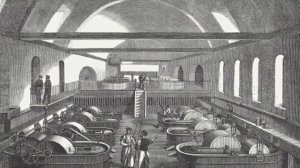 Видеорассказ «Как делают бумагу» Просто о сложном