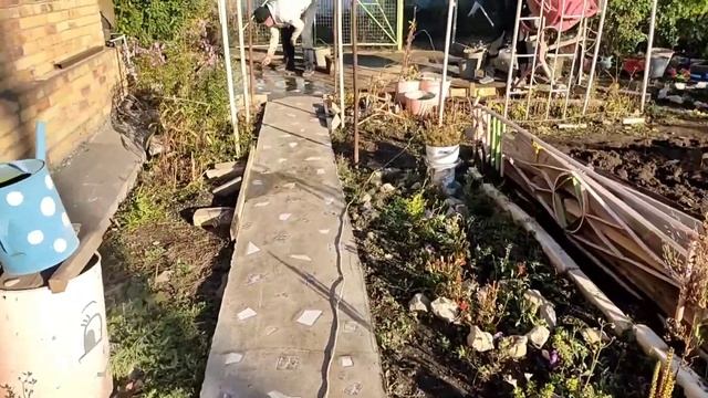 Второе пришествие Бабьего лета ?☀️? Преображение садового участка продолжается ??️?#дачныйучасток #