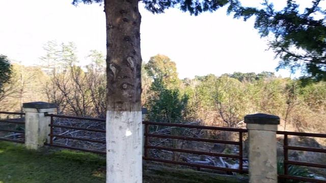 Ещё раз город Пицунда, красивый город Абхазии 2024зима смотреть онлайн