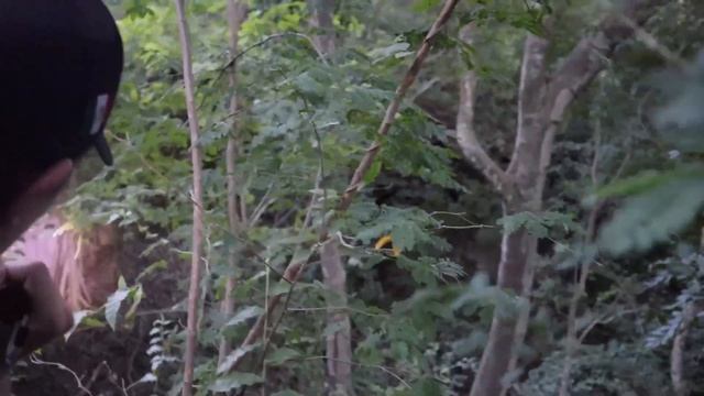 Encontramos LA CUEVA DE BATMAN!!! смотреть онлайн