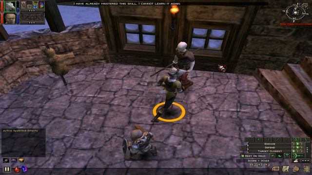 Dungeon Siege Mageworld - Walkthrough. Part 4 The White Queen's Rook смотреть онлайн
