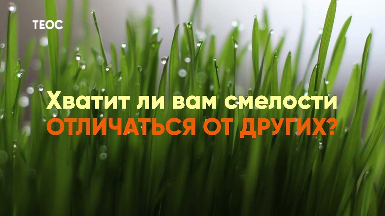 Хватит ли вам смелости отличаться от других? смотреть онлайн
