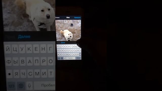Взлом shadow fiht2 на iOS (jb) смотреть онлайн