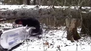 Мотособака из КАНАДЫ уже в России !!!