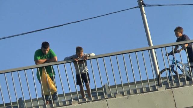 кувшинки красавицы и ПРОРОК САН БОЙ на реке вопь смотреть онлайн