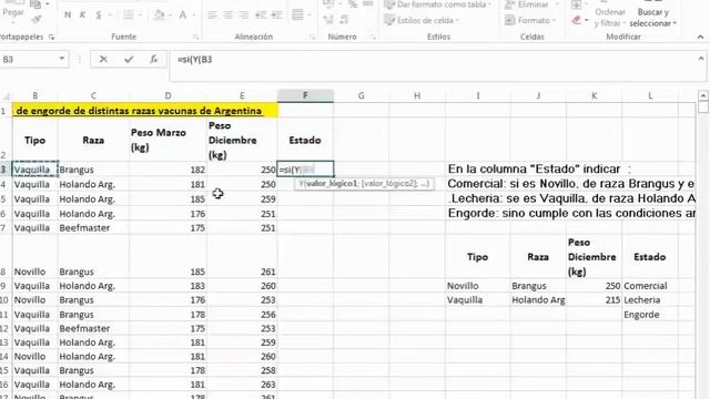 Excel 11: Función Si combinada con Función Y смотреть онлайн