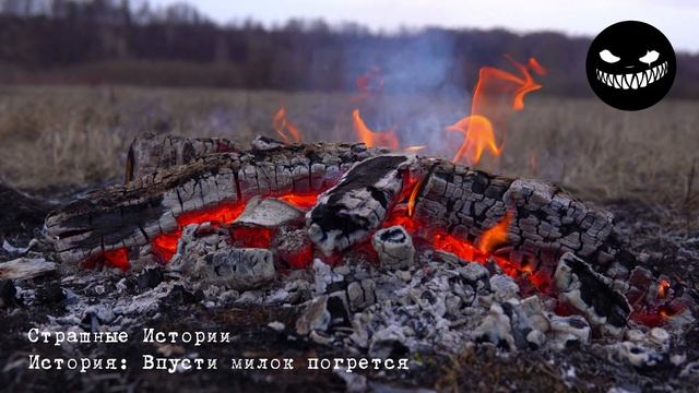 Страшные Истории / ВПУСТИ МИЛОК ПОГРЕТЬСЯ / Страшилки смотреть онлайн