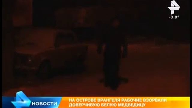 итог по белой медведице , остров "Врангеля" , компания "Русальянс" смотреть онлайн