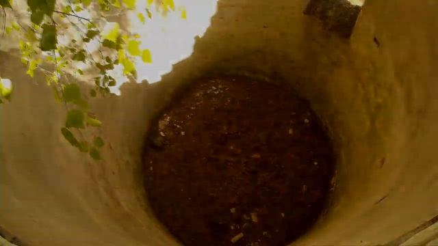 Первый коп в исчезнувшей деревне. Первая монета. Выкопали змею! смотреть онлайн