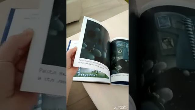 Серия Барашек Рассел, издательство клевер смотреть онлайн