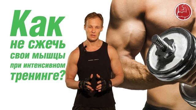 Как не сжечь свои мышцы при интенсивном тренинге? смотреть онлайн