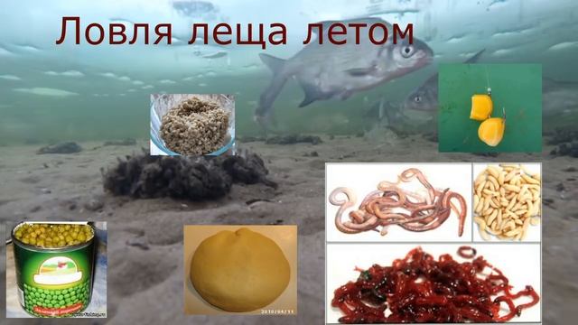 НА ЧТО КЛЮЕТ ЛЕЩ смотреть онлайн