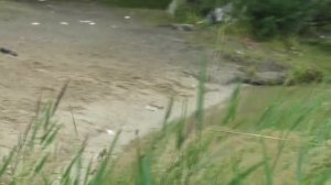 Пьяные девки на речке