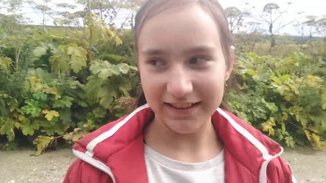 Влог как я иду смотреть грибы в маленький лесок. смотреть онлайн