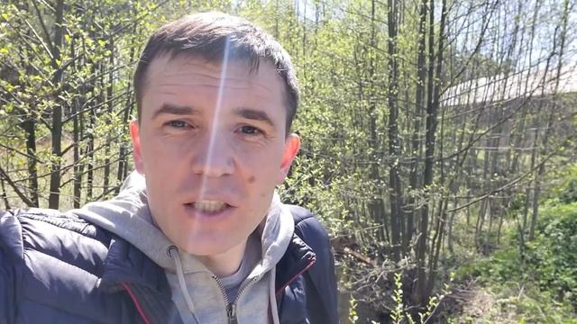 Пятиминутка о внутреннем ⚡ электричестве смотреть онлайн