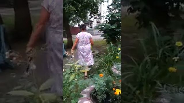 злая бабка, не разрешает играть детям во дворе! смотреть онлайн