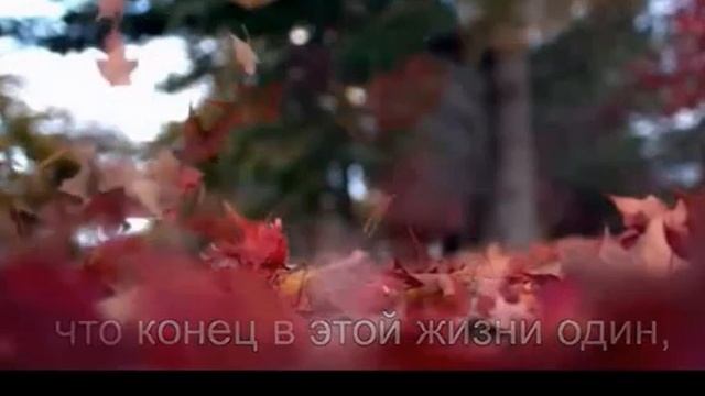 Пожалей же её ты...Стихи Ольги Мельничук, муз и исп Самуила Фрумовича смотреть онлайн