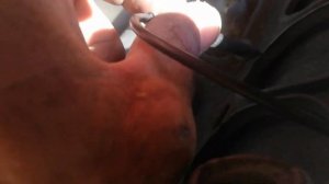 Ремонт парктроников PDC BMW e60