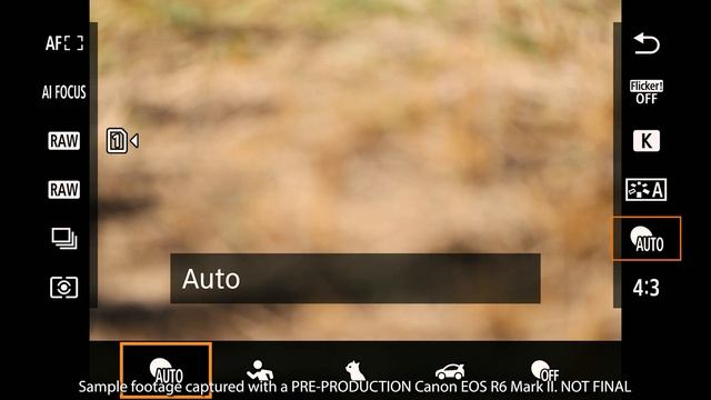 Canon EOS R6 Mark II First Impressions: Is it worth the upgrade? смотреть онлайн