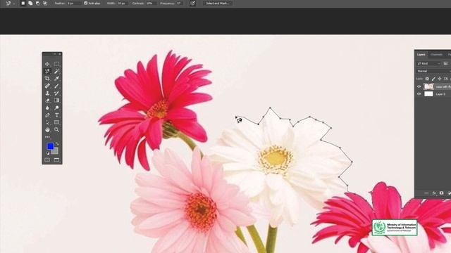 096 Software Adobe Photoshop Magnetic Lasso Tool 720 X 1280 by digiskills courses смотреть онлайн