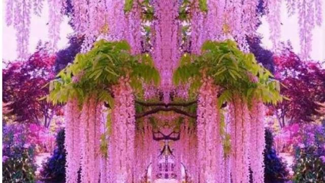 медитация на деньги Ведет Светлана Бодрова смотреть онлайн