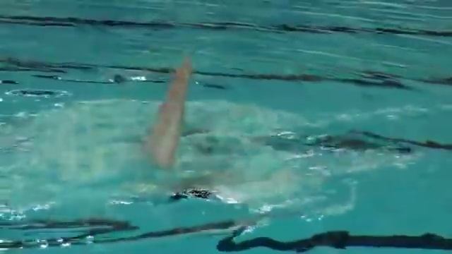 Тех. Дуэт. Чемпионат "Мастерс". Категория возраста 55-60 лет. Класс!!!??? смотреть онлайн