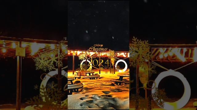 С наступающим Новым Годом.mp4