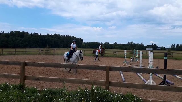 22.06.19| выездковая тренировка по конному спорту смотреть онлайн