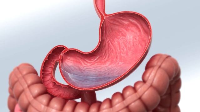 Можно ли пить минералку каждый день? Сколько минеральной воды можно пить в день? смотреть онлайн