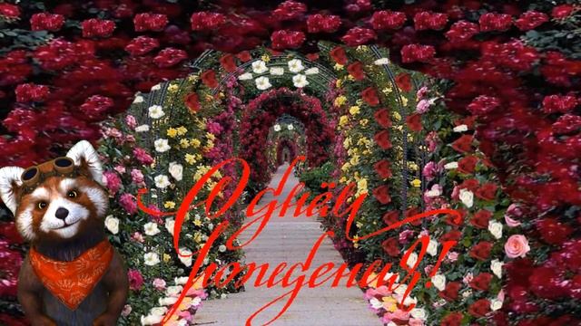 С днем рождения Инна смотреть онлайн