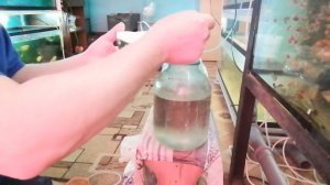 #Разведение #Артемии#Как я развожу# Артемию# Супер способ#