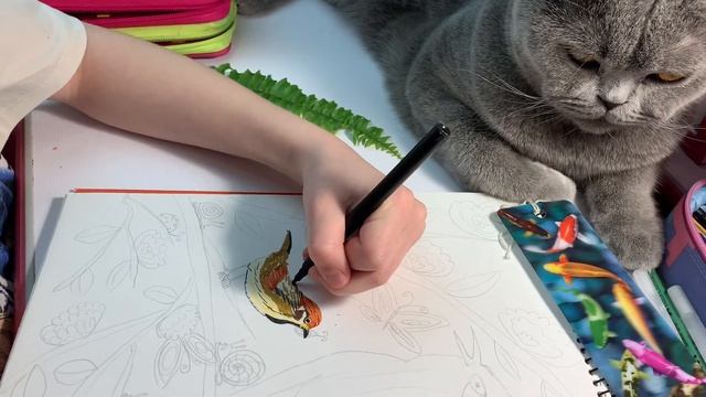 Рисуем скворца. Draw a starling. Vogel. смотреть онлайн