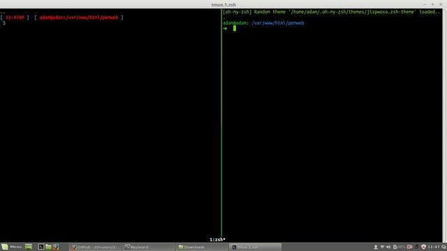 Configuration plugin on zsh - z and zsh autosuggestion plugin смотреть онлайн