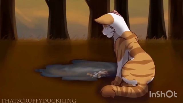 Коты Воители - за то что только раз в году бывает май смотреть онлайн