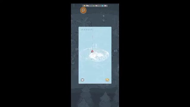 Cats And Soup. Кошки и суп