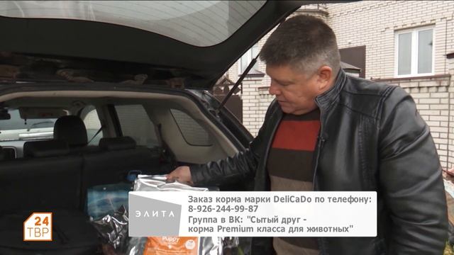 Бишон фризе. Элита смотреть онлайн