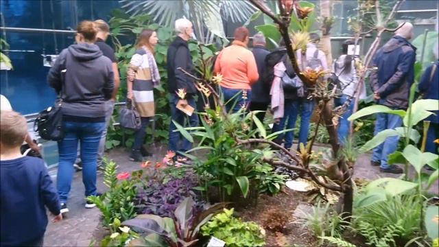 VLOG#179 ГЕРМАНИЯ. КАКИМ МЫ УВИДЕЛИ КЕЛЬН?!! смотреть онлайн