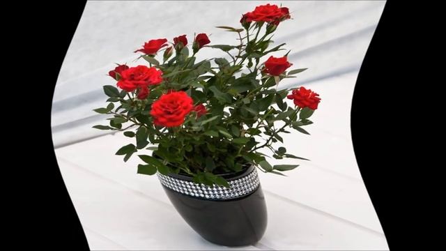 Стройка Проект