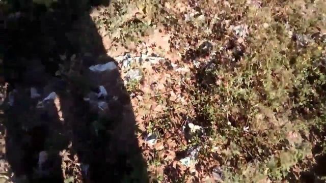 Могильик денег СССР смотреть онлайн