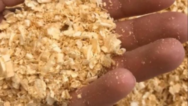 Опилки лучший материал для мульчирования смотреть онлайн