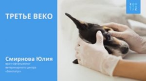 Третье веко у кошек