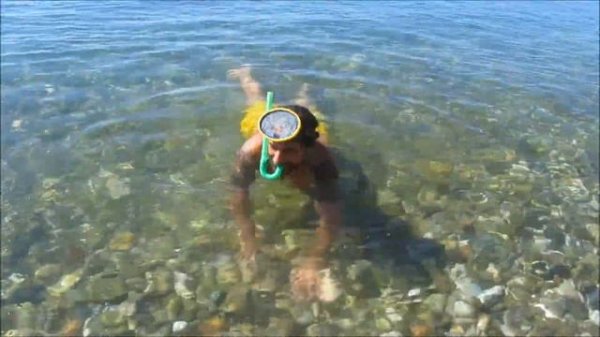 Ловец жемчуга